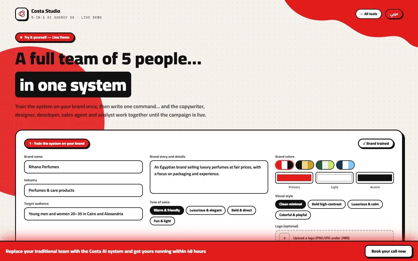 Costa AI Systems