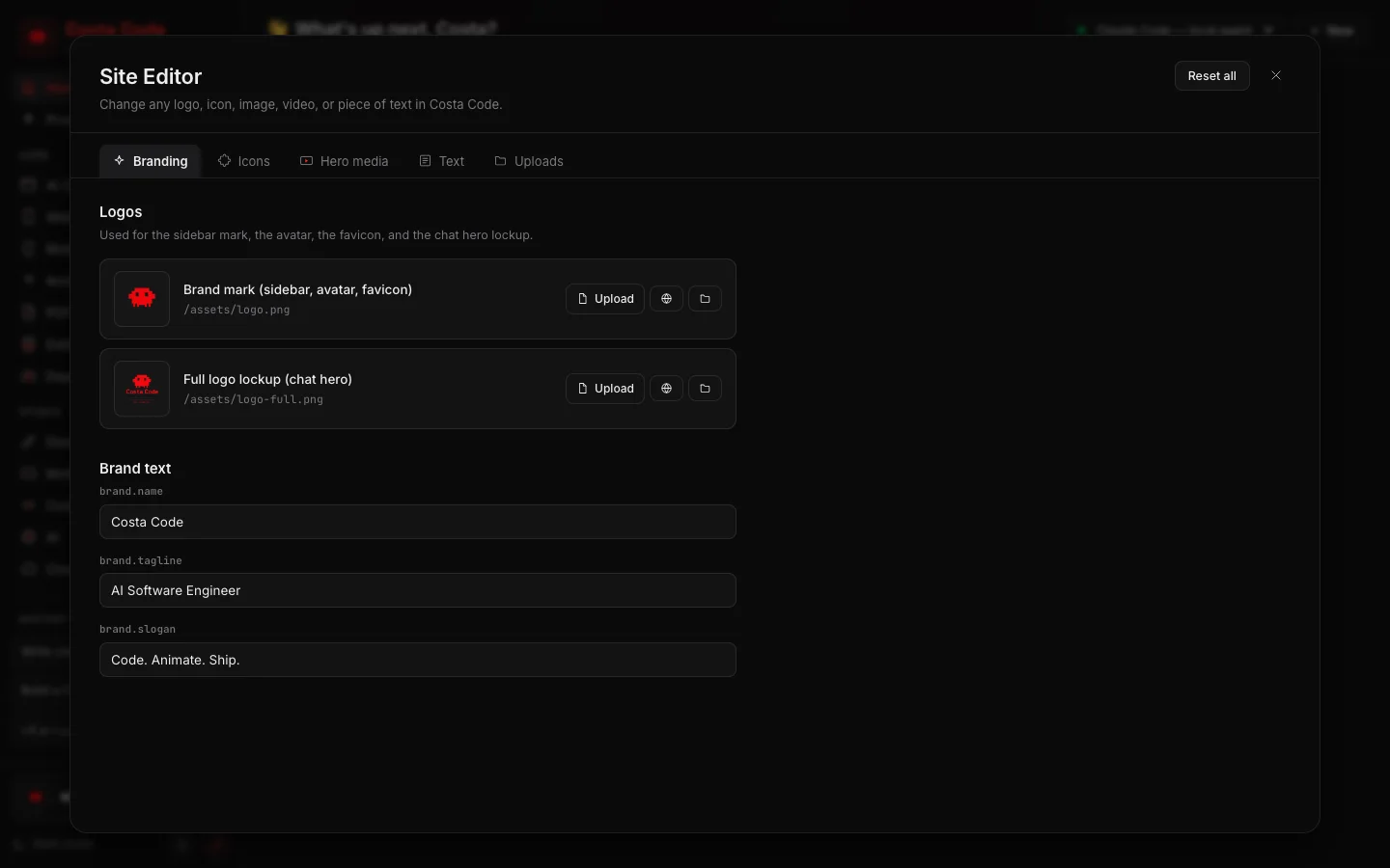 Costa Code Web Site Editor branding tab, real app screenshot